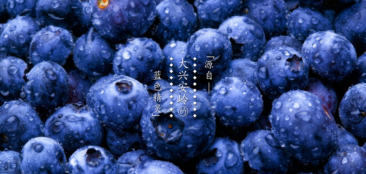蓝莓冰酒包装设计