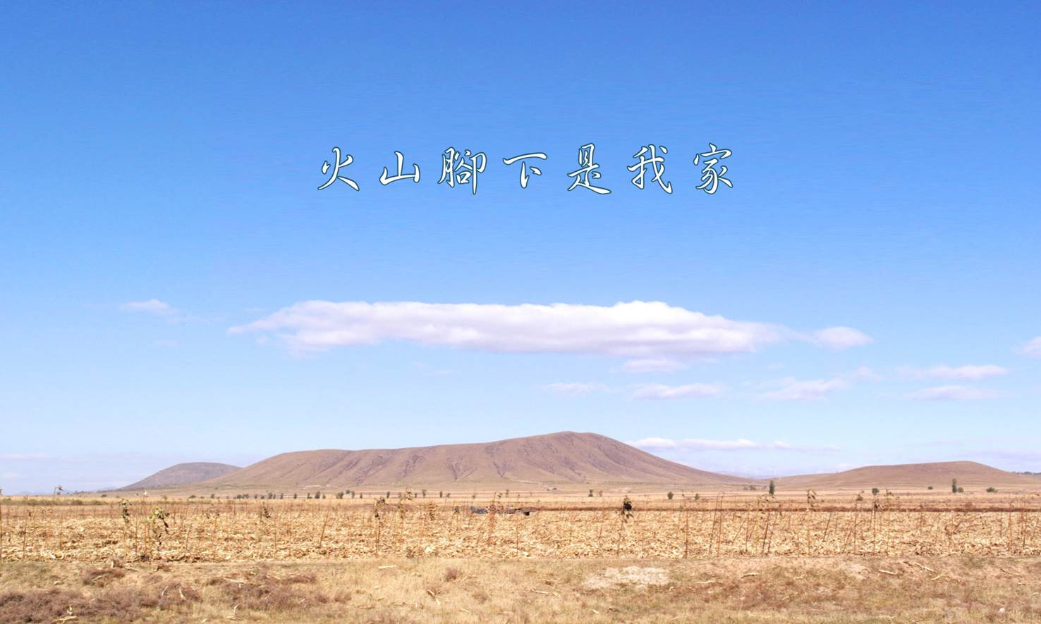 菲尼克司酒庄广告语